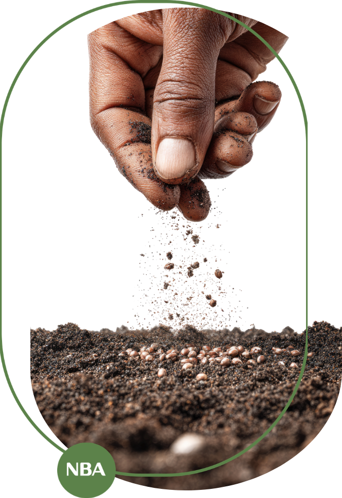 thị trường phân bón 2026 mới nhất