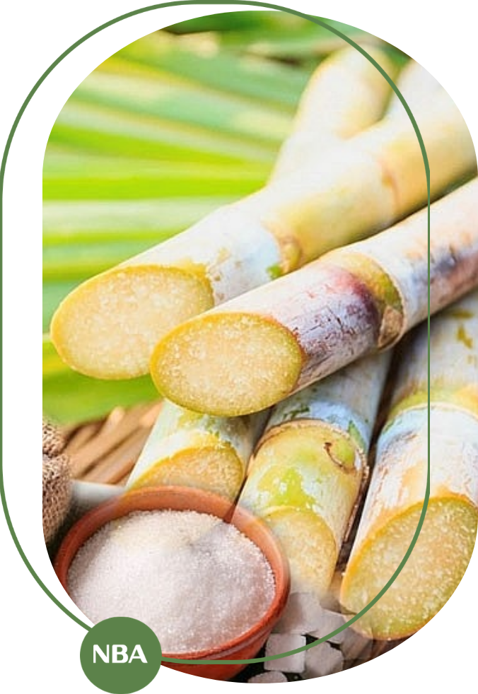 giá mía đường tại việt nam