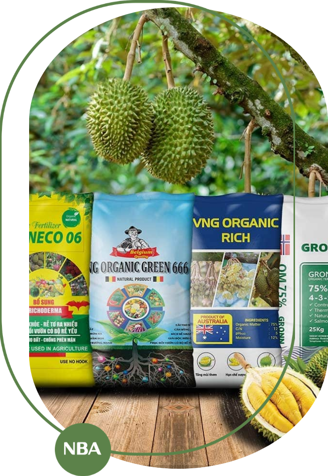 phân bón cho cây sầu riêng 2026 phân bón cho cây sầu riêng 2026