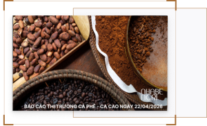 Báo cáo thị trường cà phê - ca cao