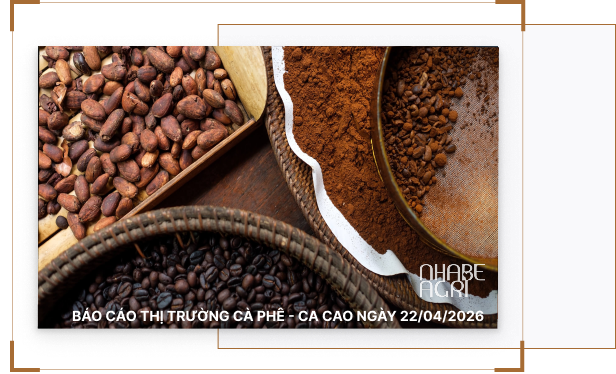 Báo cáo thị trường cà phê - ca cao