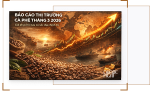 Báo cáo thị trường cà phê tháng 3 2026