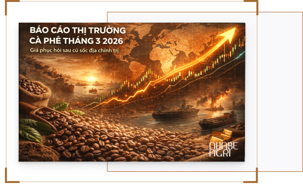 Báo cáo thị trường cà phê tháng 3 2026