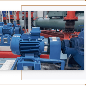 Máy bơm nước tưới cây đa dạng lựa chọn, giá tốt, tư vấn kỹ thuật tận tâm