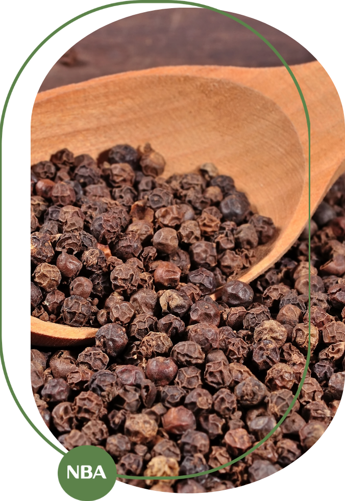 Giá tiêu Bình Phước