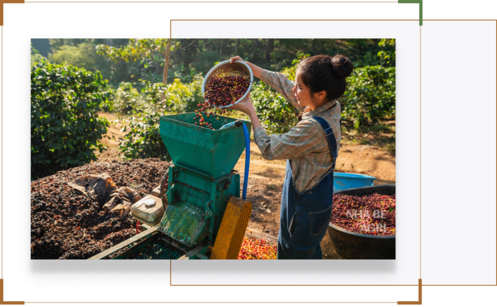 Giải pháp Cung cấp vật tư nông nghiệp toàn diện cho trang trại 10 Giải pháp Cung cấp vật tư nông nghiệp toàn diện cho trang trại