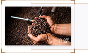 Báo cáo chiến lược và lộ trình chuyển dịch chuỗi giá trị ngành cà phê Việt Nam: Kế hoạch thúc đẩy chế biến sâu giai đoạn 2025-2030