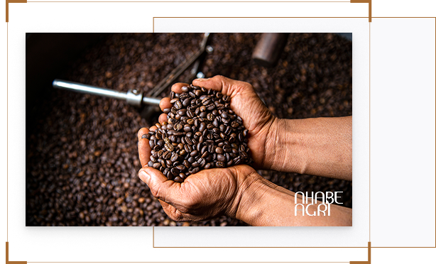 Báo cáo chiến lược và lộ trình chuyển dịch chuỗi giá trị ngành cà phê Việt Nam: Kế hoạch thúc đẩy chế biến sâu giai đoạn 2025-2030