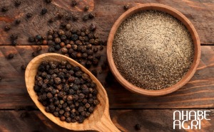 giá tiêu mới nhất