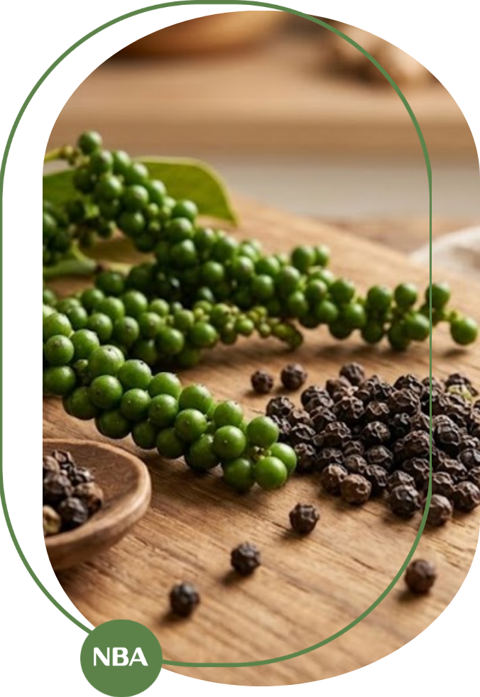 giá tiêu tây nguyên