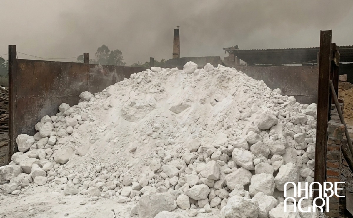 phân biệt vôi bột, vôi nung, vôi nông nghiệp mới nhất