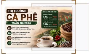 Thị Trường Cà Phê Tuần 18/2026: Giá Cà Phê Thế Giới Giảm, Việt Nam Đẩy Mạnh Cà Phê Chế Biến