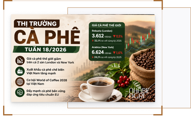Thị Trường Cà Phê Tuần 18/2026: Giá Cà Phê Thế Giới Giảm, Việt Nam Đẩy Mạnh Cà Phê Chế Biến
