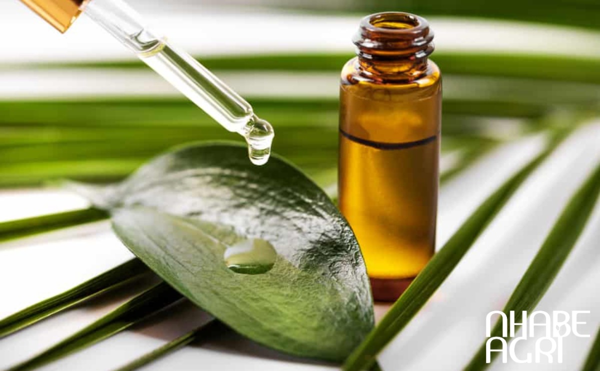 Tinh dầu Trầm Hương mang đến nhiều lợi ích đặc biệt