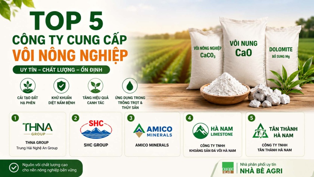 Tưới nước cho cây bí đỏ - bạn đã tưới đúng cách chưa? 5 Top 5 công ty cung cấp vôi nông nghiệp uy tín tại Việt Nam