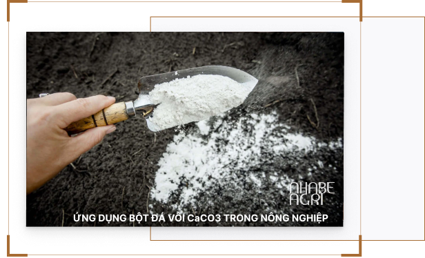 Ứng dụng của bột đá vôi CaCO₃