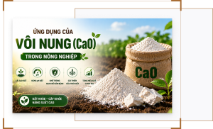 Ứng dụng của vôi nung