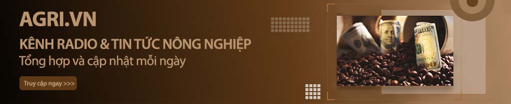 Agri.vn banner