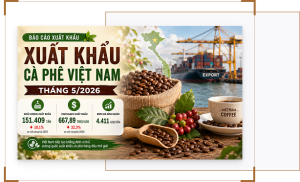 Xuất Khẩu Cà Phê Việt Nam Tháng 5/2026