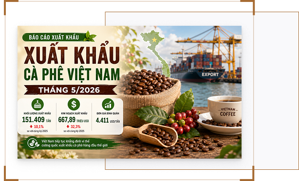 Xuất Khẩu Cà Phê Việt Nam Tháng 5/2026