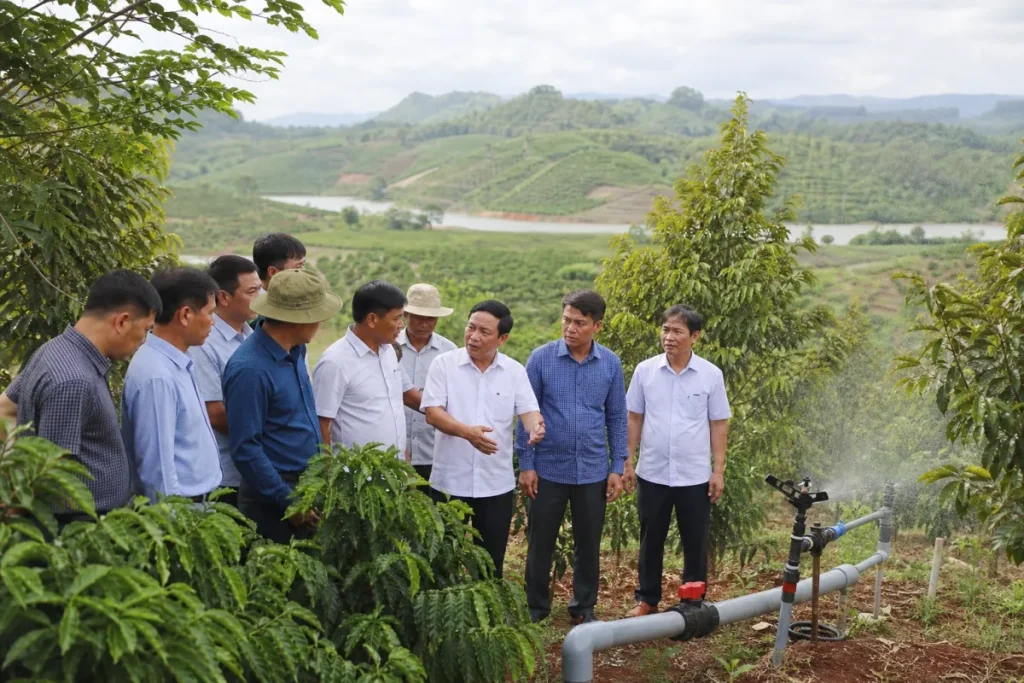 Canh tác bền vững: Tây Nguyên tìm lời giải cho cà phê, sầu riêng