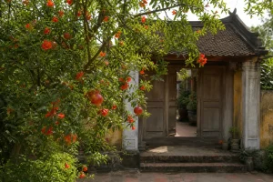 Cây lựu phong thủy: Vì sao người xưa khuyên trồng trước cổng?