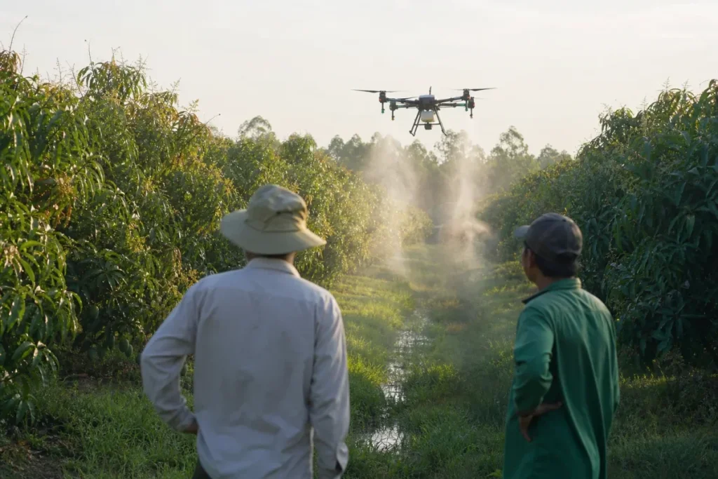 Đồng Tháp đưa drone nông nghiệp vào vườn cây ăn trái tiết kiệm nước