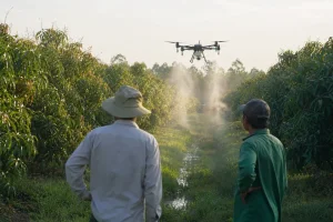 Đồng Tháp đưa drone nông nghiệp vào vườn cây ăn trái tiết kiệm nước