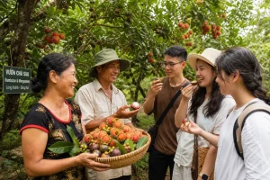 Du lịch vườn ở Đồng Nai: nông dân tăng thu từ mùa trái cây đặc sản