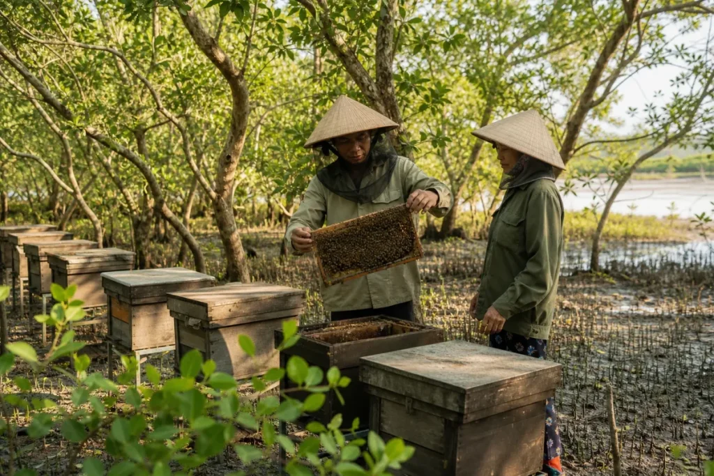 Kinh tế rừng ở Hải Phòng: Gắn sinh kế người dân với bảo vệ rừng 1 Kinh tế rừng ở Hải Phòng: Gắn sinh kế người dân với bảo vệ rừng