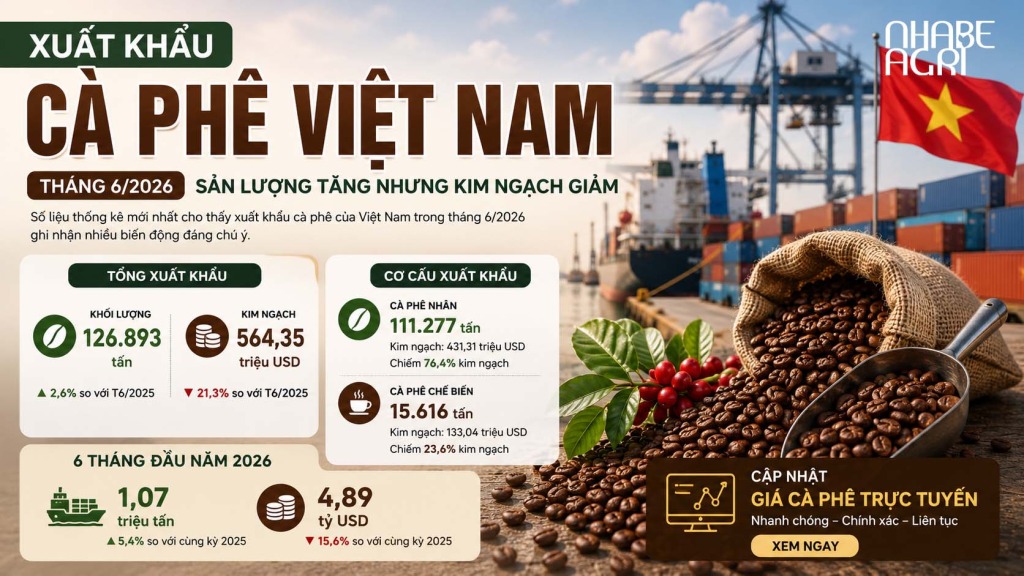 Xuất khẩu cà phê Việt Nam tháng 6-2026 (1)