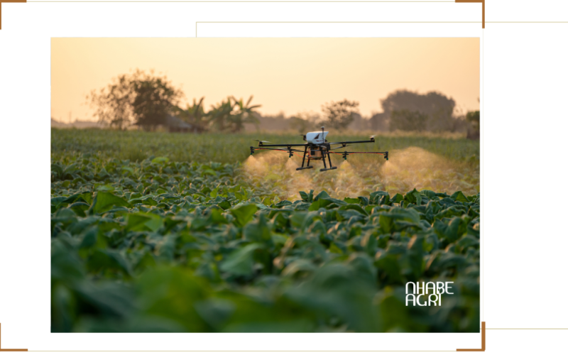 thuê drone tại daklak