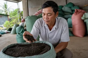Giá tiêu hôm nay 21/7: Thị trường ổn định, xuất khẩu giảm mạnh