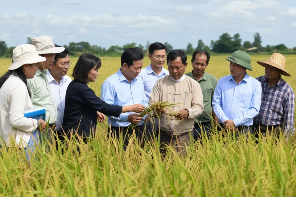 Hợp tác lúa gạo: Vinaseed và MRF ký ghi nhớ tại Hà Nội 1 Hợp tác lúa gạo: Vinaseed và MRF ký ghi nhớ tại Hà Nội