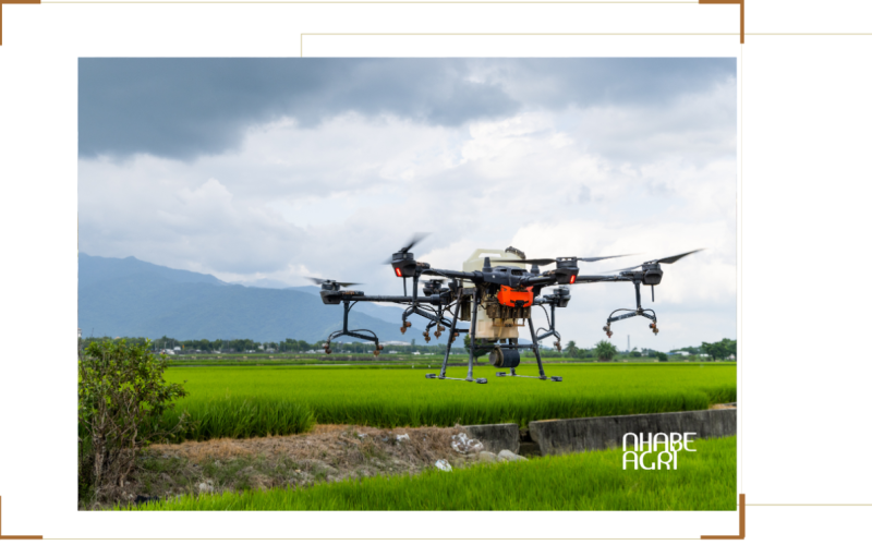 dịch vụ máy bay nông nghiệp tây niinh