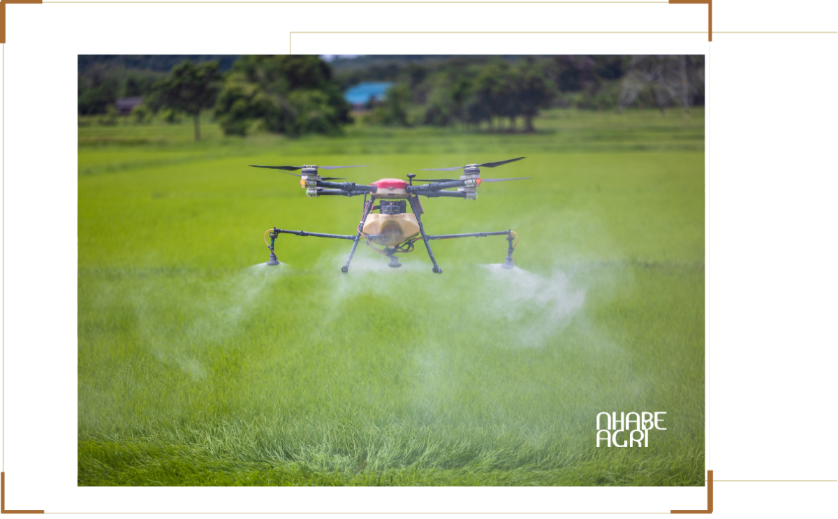 drone nông nghiệp tại tây ninh