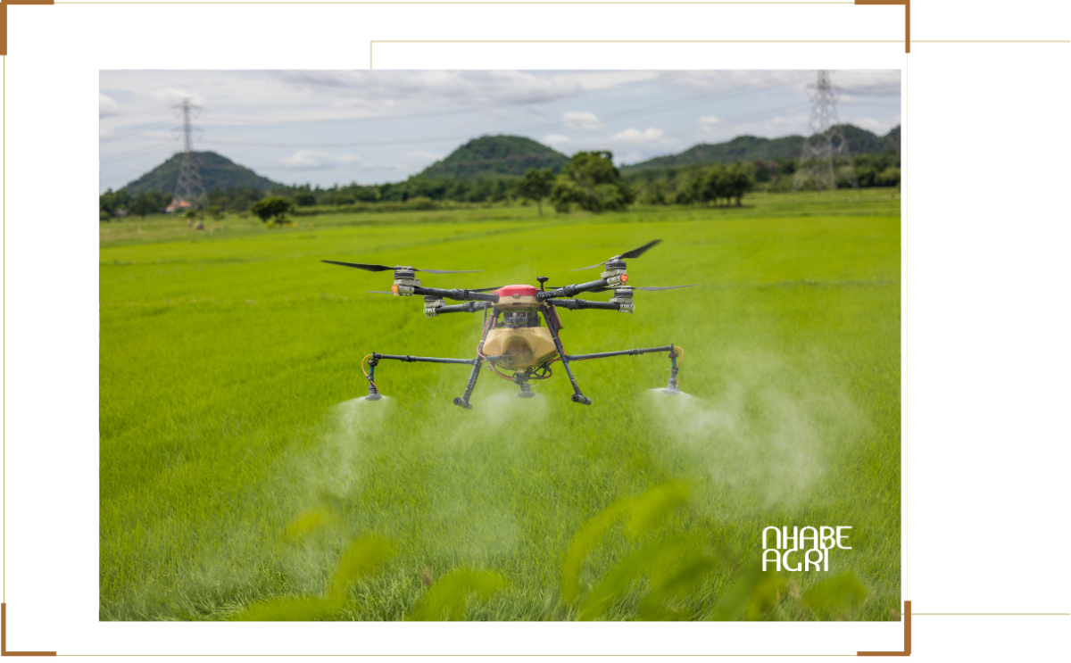 đào tạo drone nông nghiệp tại tây ninh