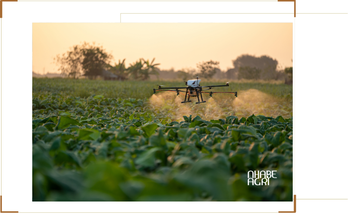 drone nông nghiệp TP HCM