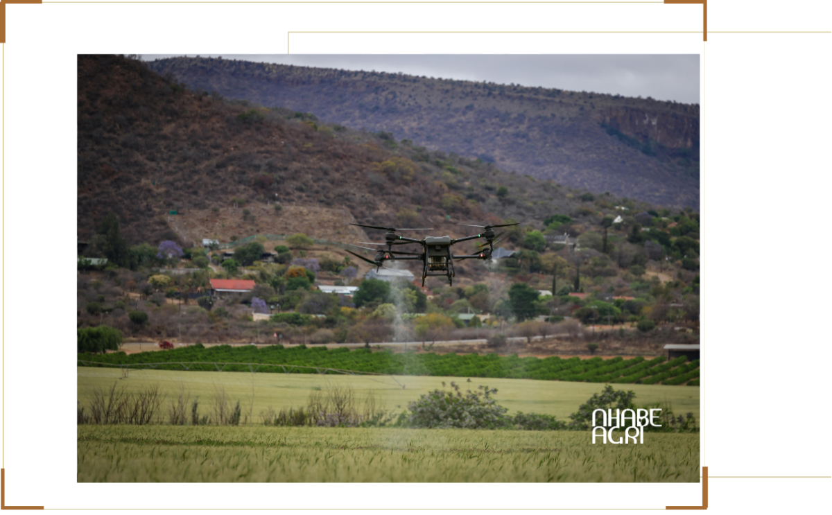 phun thuốc bằng drone nông nghiệp tại tây ninh