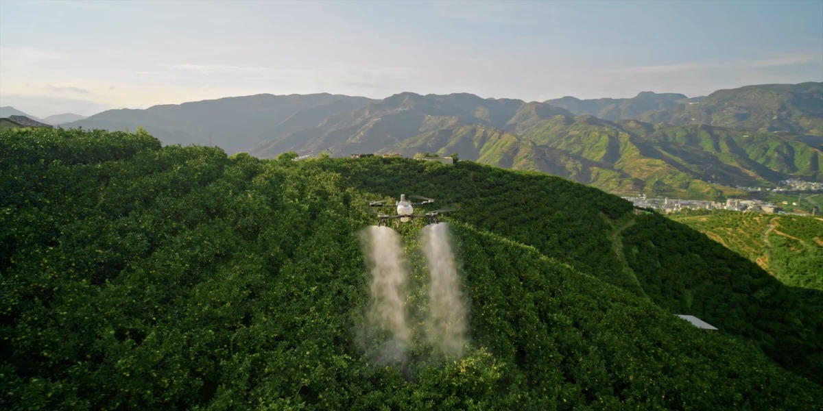 May bay DJI T55 phun thuoc tru sâu