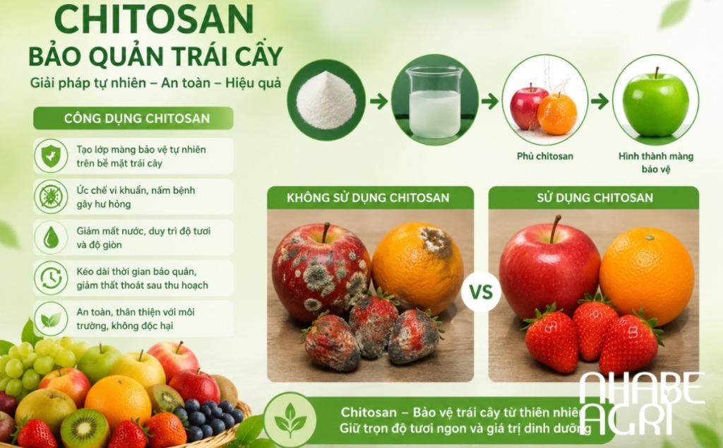 Tưới nước cho cây bí đỏ - bạn đã tưới đúng cách chưa? 3 Chitosan Bảo Quản Trái Cây