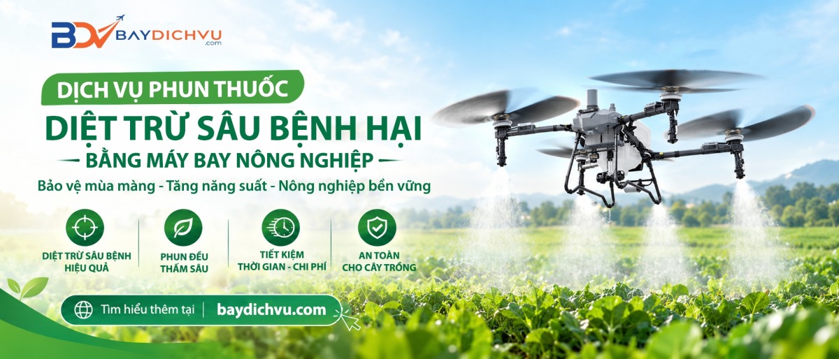 Banner bay dịch vụ Banner bay dịch vụ