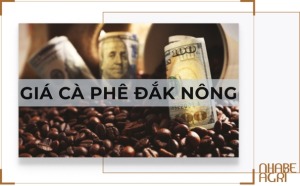 Giá cà phê Đắk Nông hôm nay