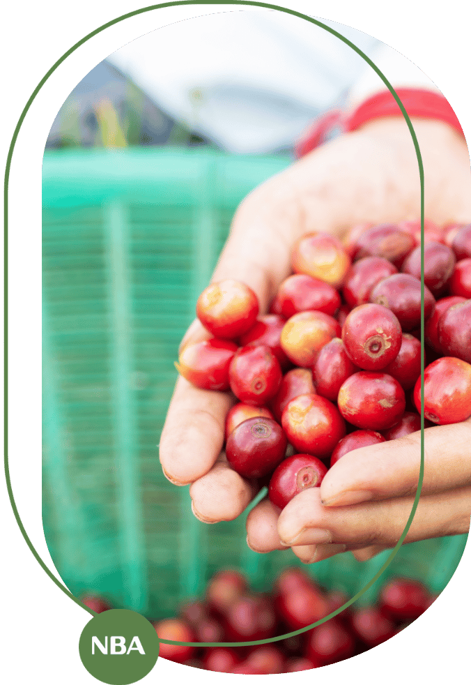 thị trường cà phê