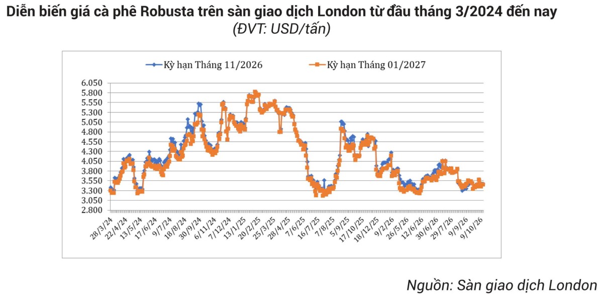 Bảng Tin Thị Trường Nông Lâm Thủy Sản Tháng 10/2026