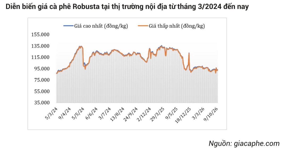 Bảng Tin Thị Trường Nông Lâm Thủy Sản Tháng 10/2026