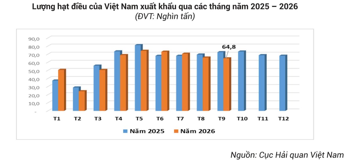 Bảng Tin Thị Trường Nông Lâm Thủy Sản Tháng 10/2026