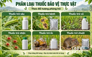 phân loại thuốc bảo vệ thực vật